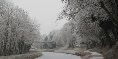 in Winter